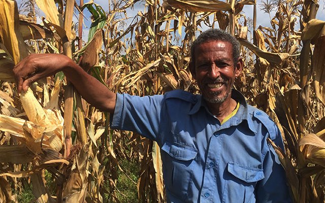 et-seeing-is-believing-digitizing-ethiopia-s-agricultural-extention-service-delivery-780x439