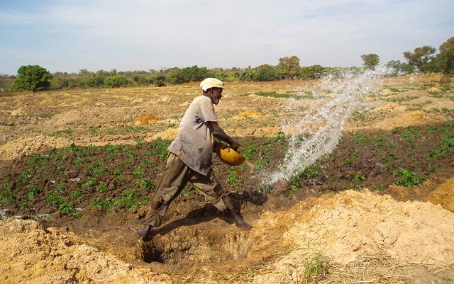 mali_irrigation