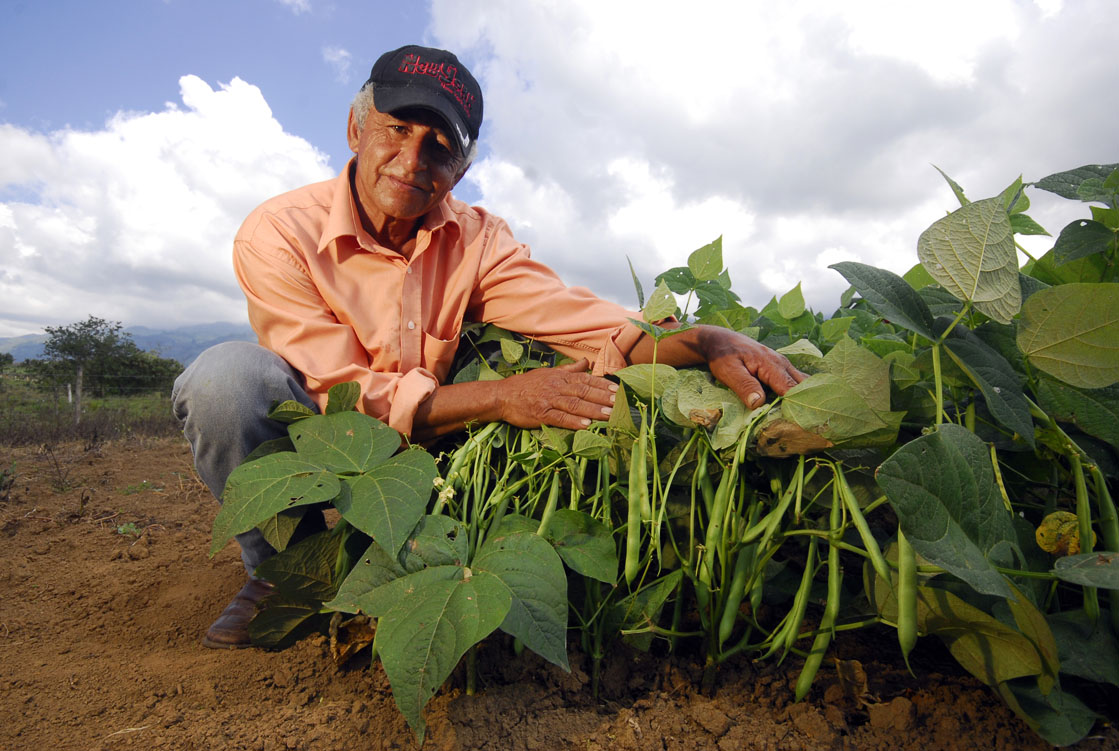 harvestplus_colombia_beans_farmer_july2009