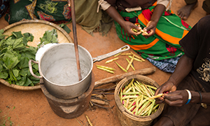 300x180_2016-02-24_malawi_028_copy