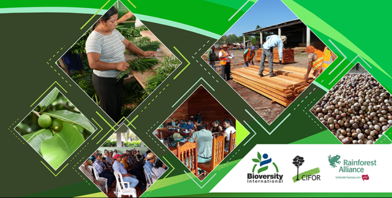 community_forest_concessions