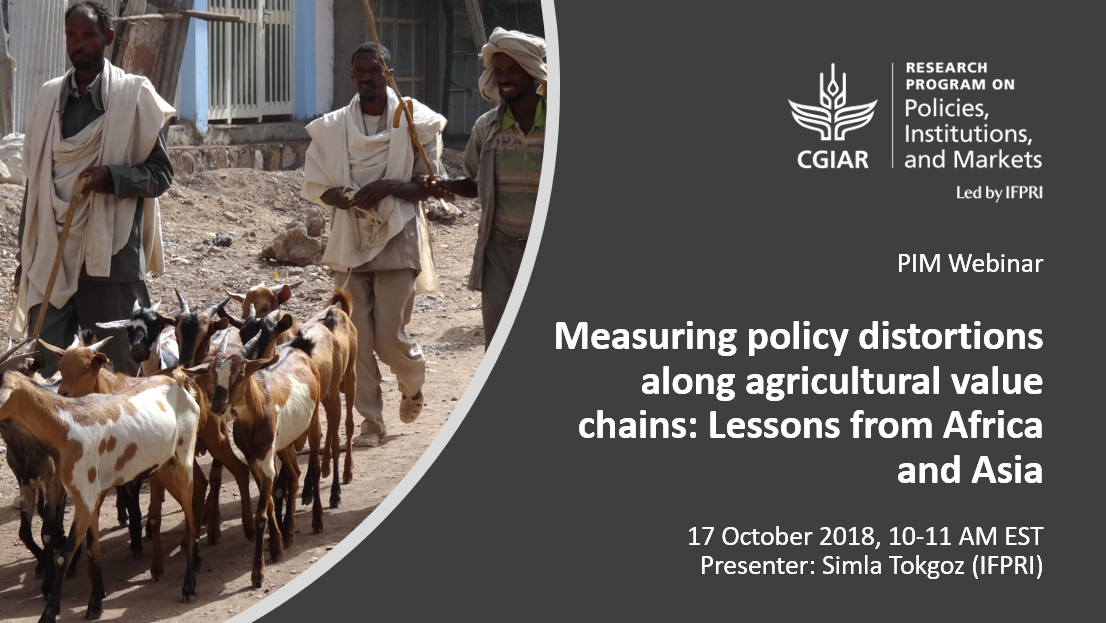 measuring_policy_distortions