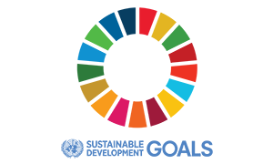sdg-logo-transparent-engweb