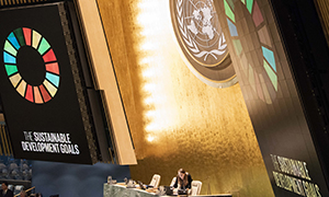 300x180_un_2018_776915