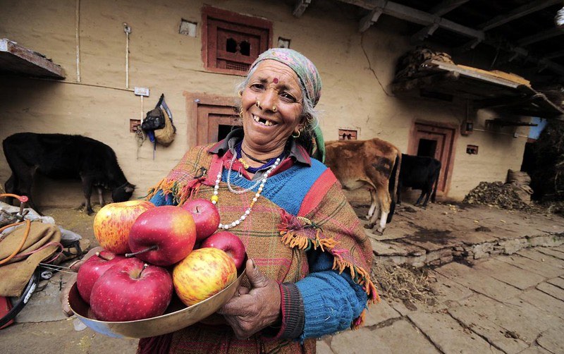 apples_india