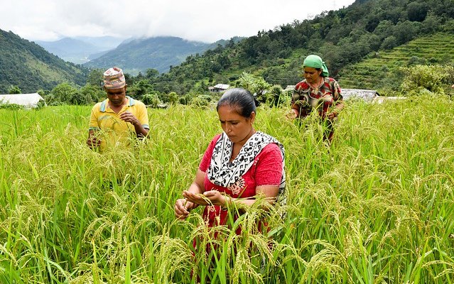 nepal_climate_smart