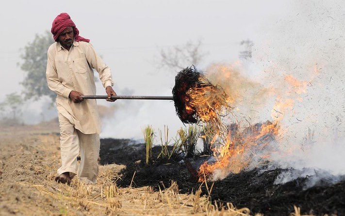rice_burning