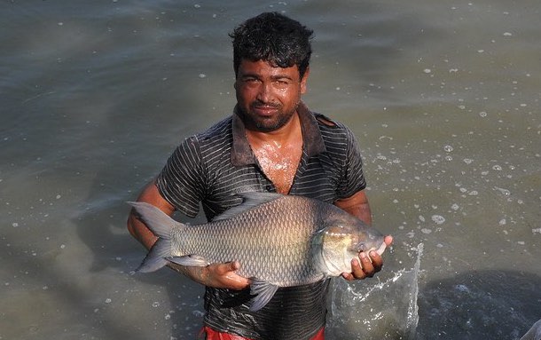 The making of Bangladesh's Blue Revolution