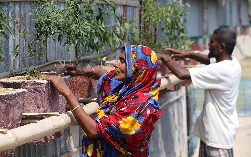 climate_smart_bangladesh