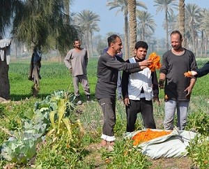 egypt_seminar_dec