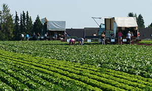 ifpri_events_page