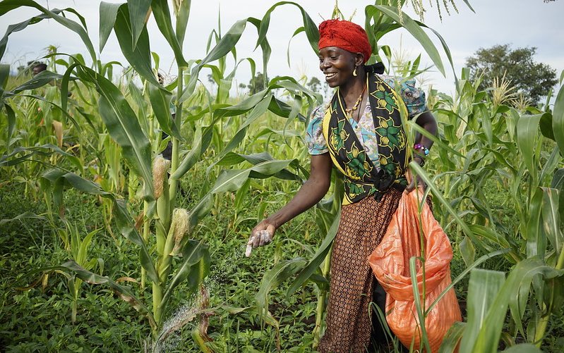 tanzania_fertilizer