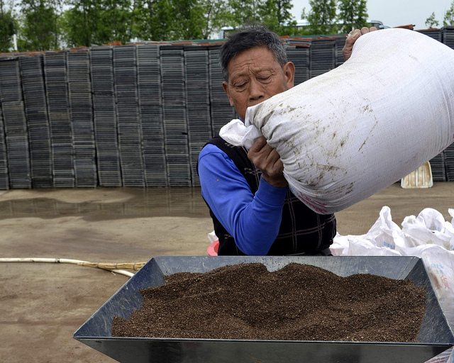 China's new agro-investment: Opportunity for sustainability?
