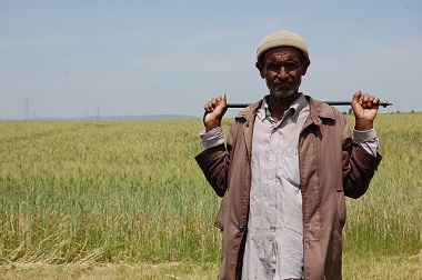 fieldworkerinethiopia-cymmit-small