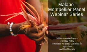 malabo_webinar