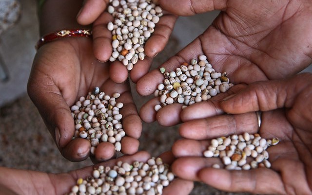 Protect our food. Fund the seed.