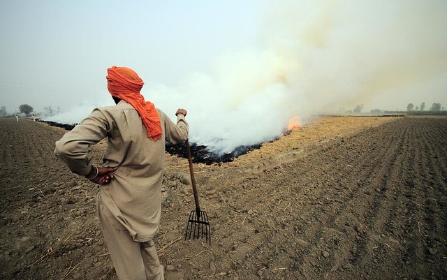 crop_burning1