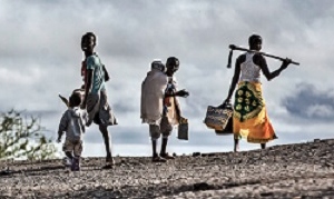 may_19_fao_the_coming_crisis