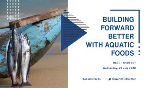 building_forward_better_general2_300x180