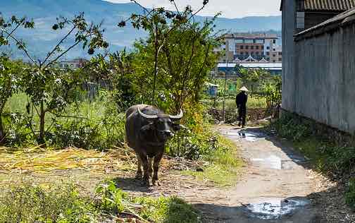 china_village
