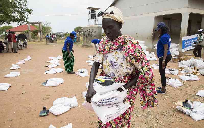 south_sudan_seeds