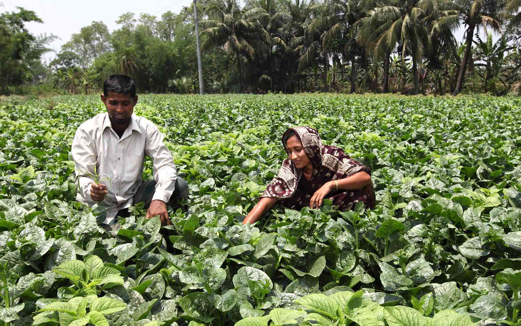 bangladesh_couple_1
