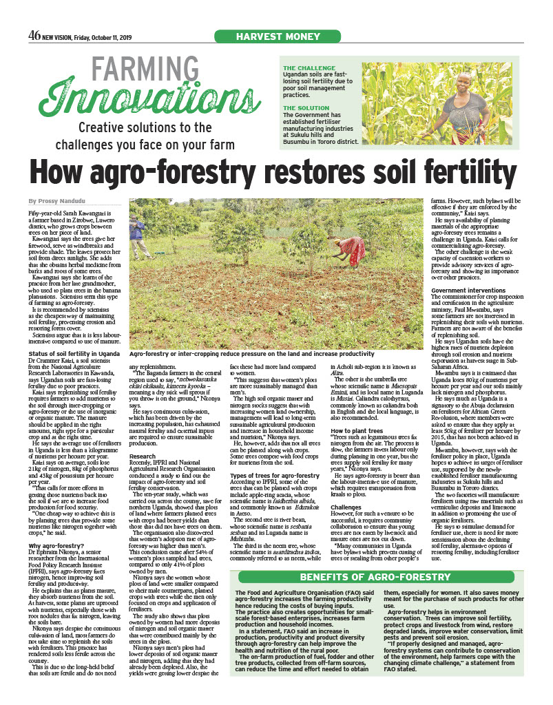 new_vision_article_prossy1024_1