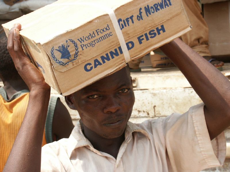 canned_fish