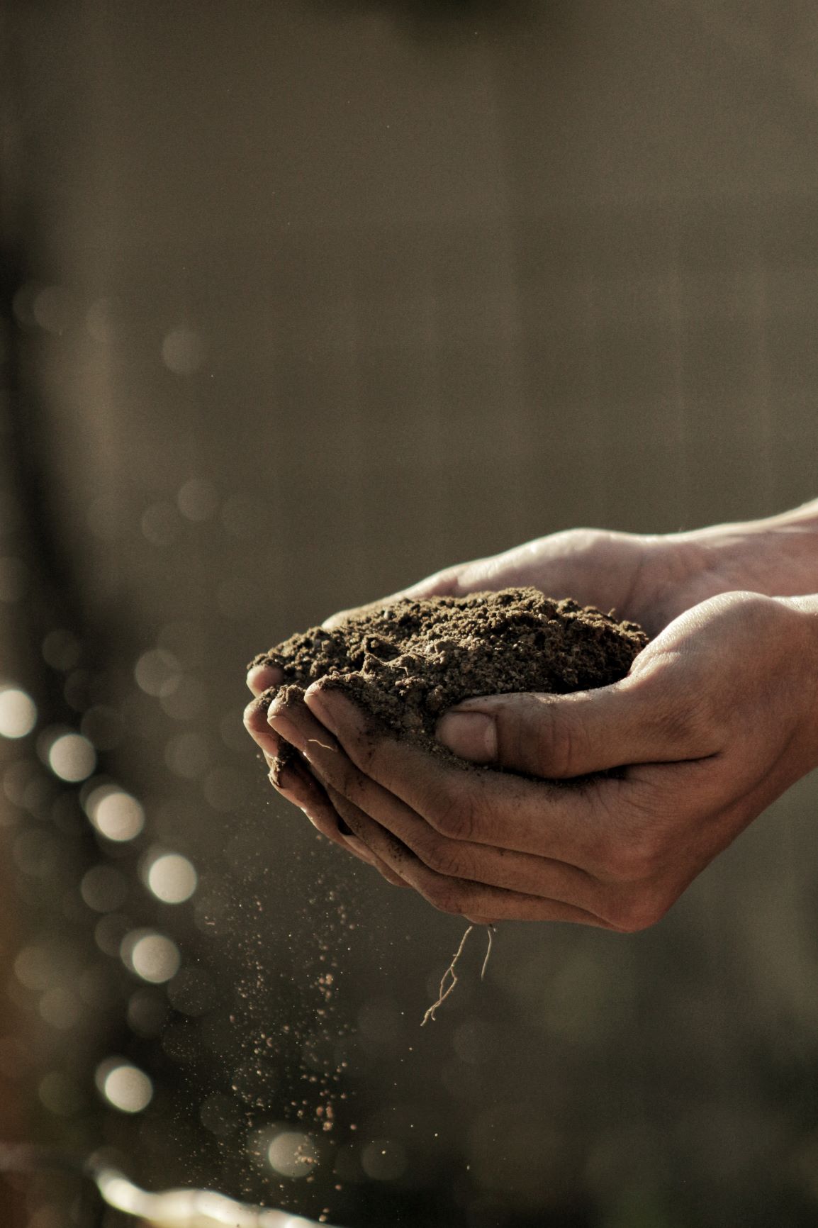 environment_gabriel-jimenez-jin4w1hqgl4-unsplash