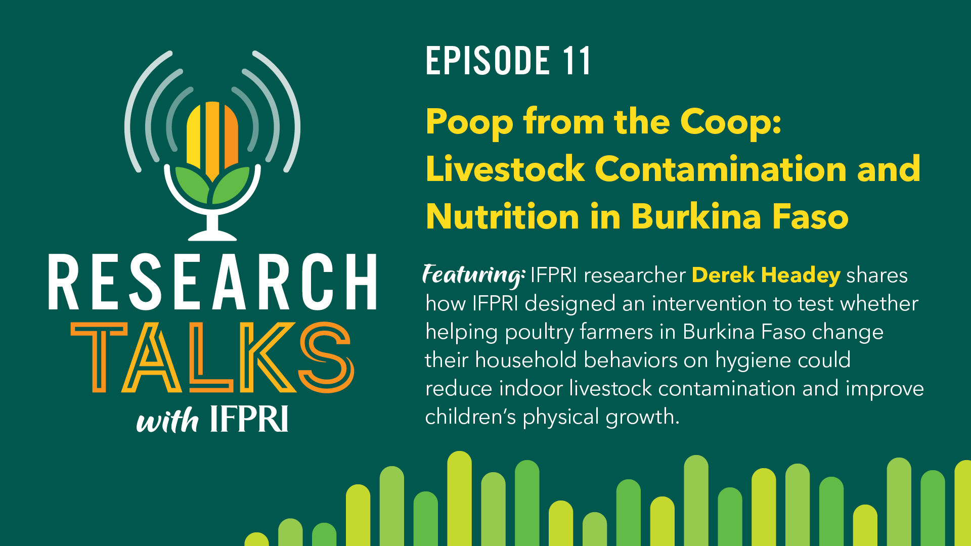 2020_researchtalks_episode_11