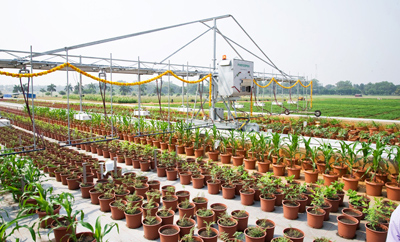 crop_production_analytics