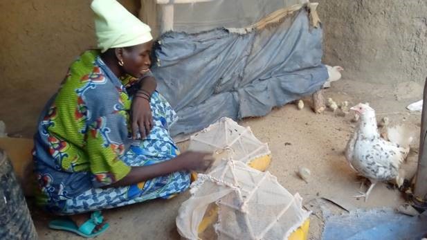 woman_feeding_chicken_2
