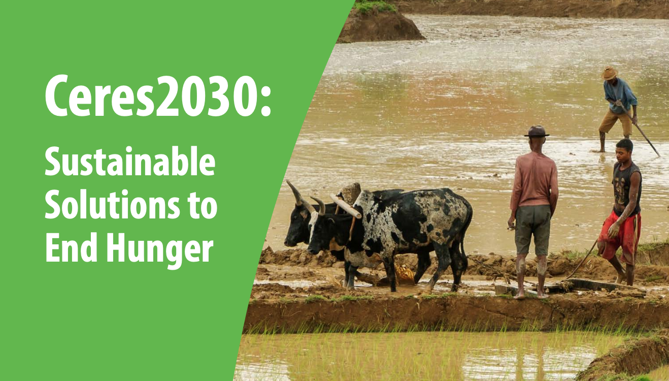 Big costs, bigger rewards: How $33 billion in spending each year can help end hunger sustainably by 2030