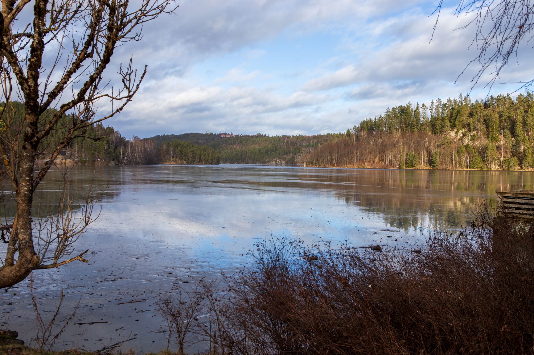 ecosystem_services