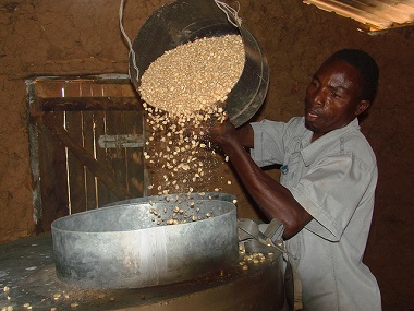 cimmyt_grain_storage-380