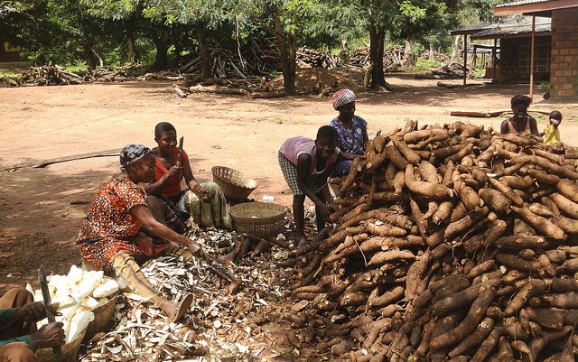 5 lessons from Africa for policymakers to reduce malnutrition