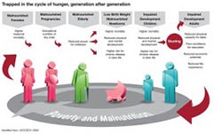 hungerpovertycycle1-240