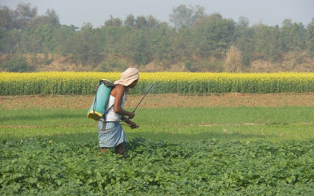 india_fertilizer