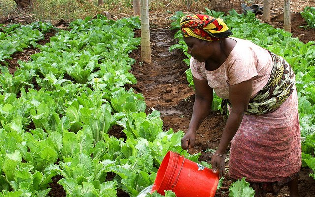 tanzania_project_irrigation