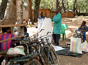 Assessing and Strengthening Malawi’s Pluralistic Agricultural Extension System: Evidence and Lessons from a 3-year Research Study on Agricultural Extension