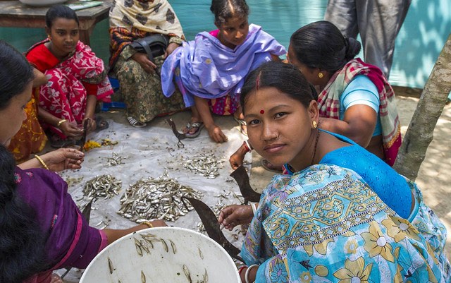 bangladesh_fish