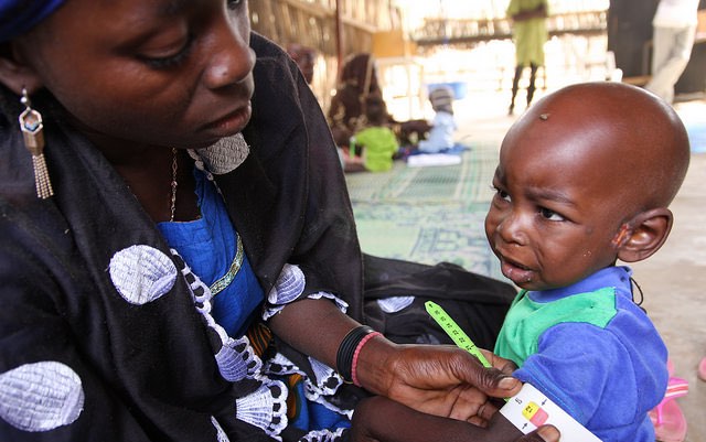 niger_integrated_nutrition