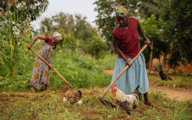 tanzania_tilling