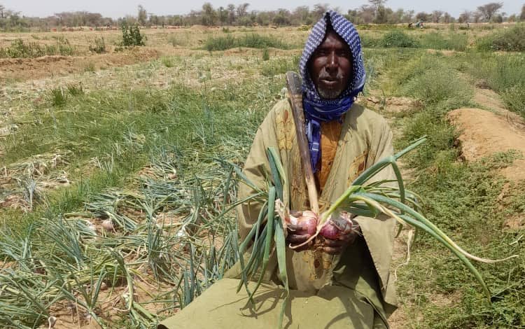 onion_farmer_senegal