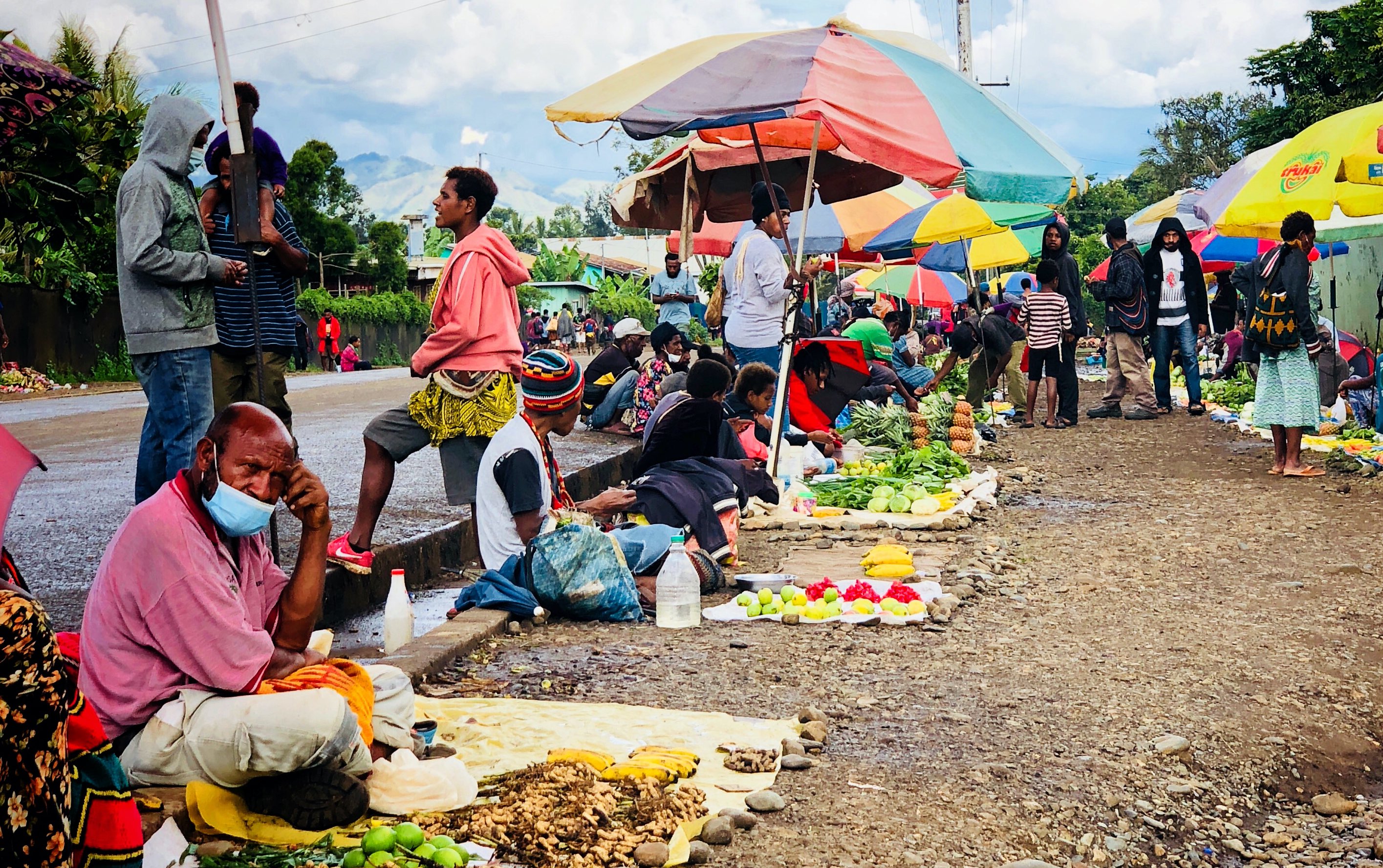 Model: Impacts of the COVID-19-driven rise in global rice prices on consumers in Papua New Guinea