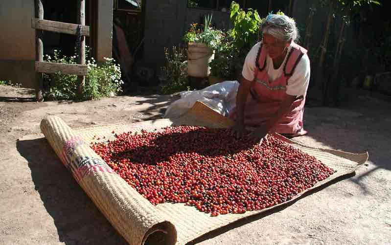 coffee_oaxaca