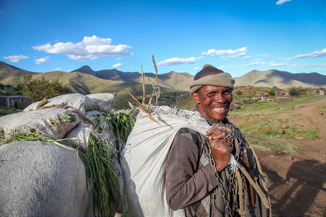lesotho_farmer
