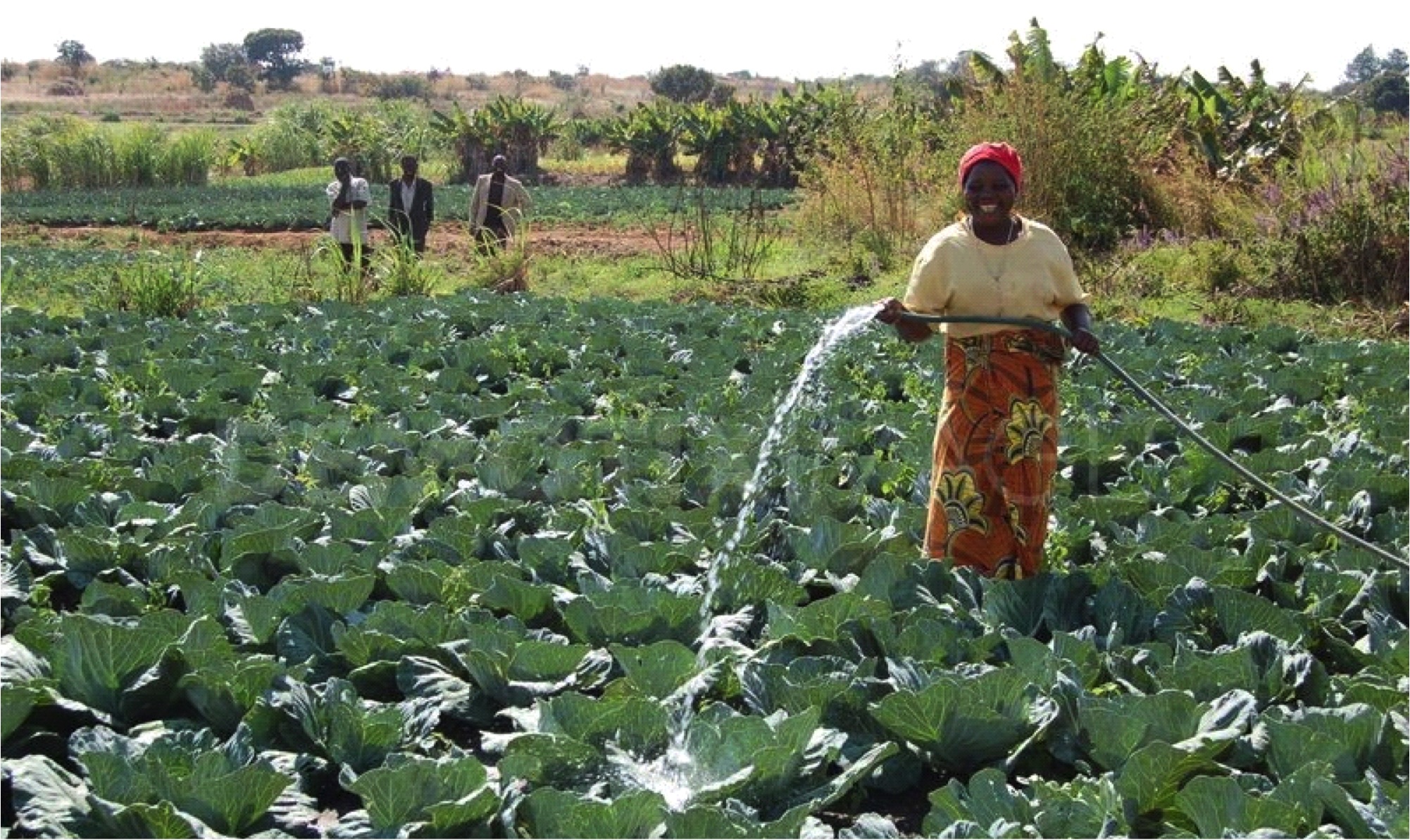 tanzania_watering