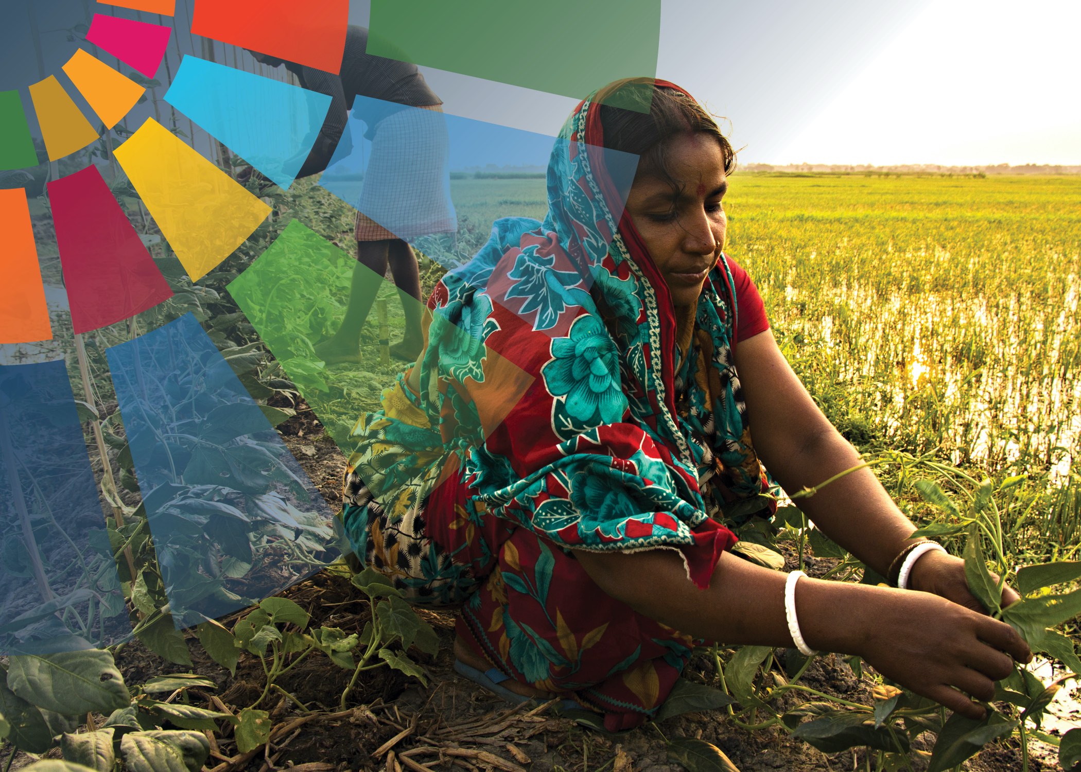 unfss_gender_equality