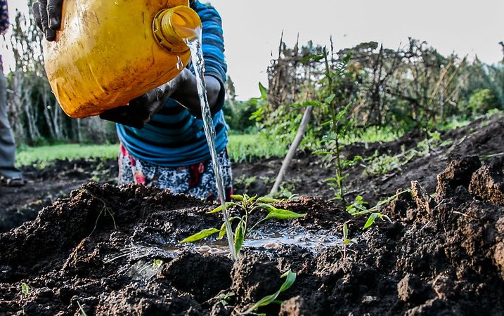 water_harvest_ciat